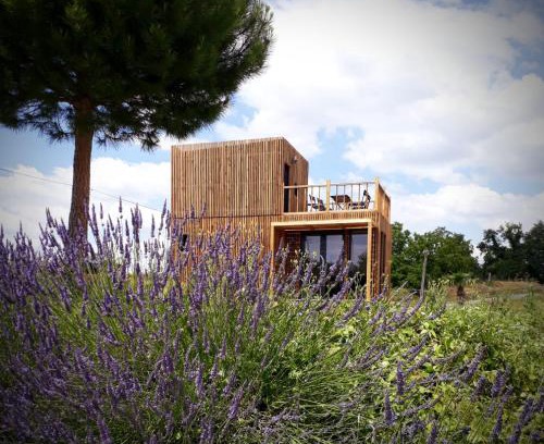 Chateauvieux Cabin | Manège de la Chapinière - DadaLoge tiny-house