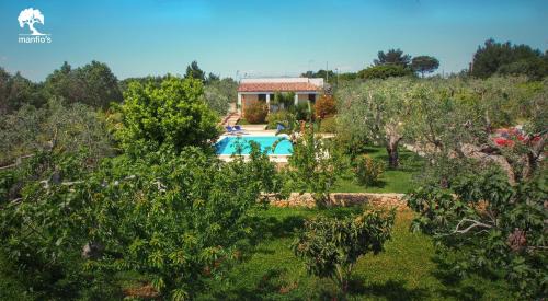 Manfio House | Manfio's