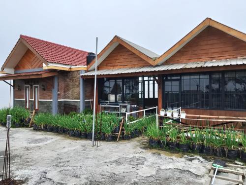 Poncokusumo House | Manglung Homestay