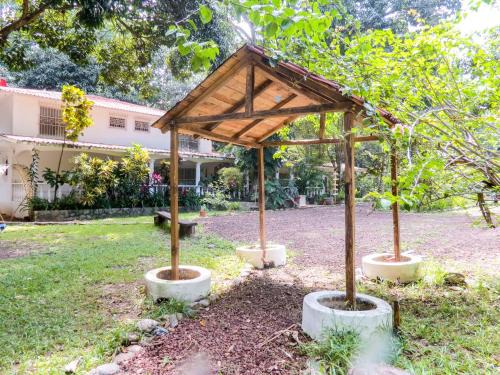 Actopan Municipality House | Mango Selva Bio Hotel