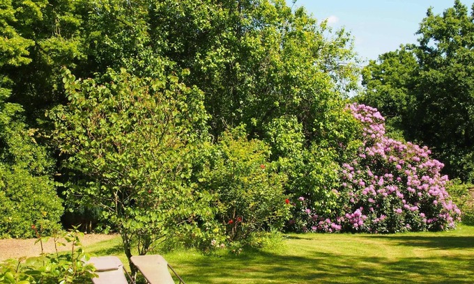 Sixt-sur-Aff Bed & Breakfast | Manoir de Pommery