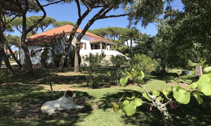 Magoito House | Manor House private pool/near the beach in Sintra/Cascais Natural Park