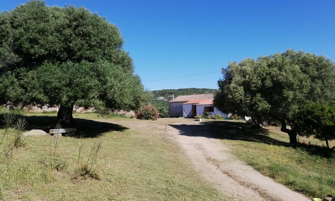 Luogosanto House | Mansion - Luogosanto - House with character in the countryside at 15km from all the beaches