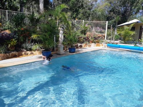 Mapleton Bed & Breakfast | Mapleton Peaceful Provence BnB