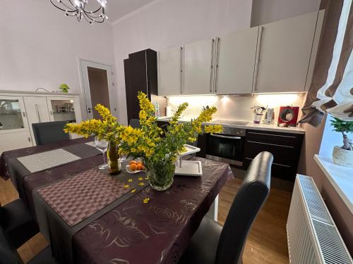 Marianske Lazne Apartment | Marienbad Center