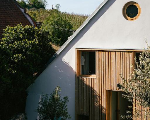 Pavlov Bed & Breakfast | Marináda Viniční dům
