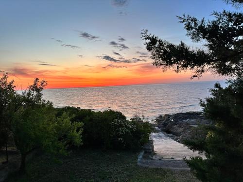 Pinarellu Apartment | Marina di Figa