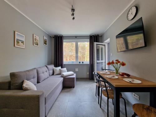 Debina Apartment | Mario Leśny Klif 1