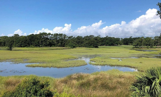 Myrtle Beach Cottage | Marshland Beach Paradise