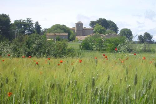 Galargues Bed & Breakfast | Mas du Crès