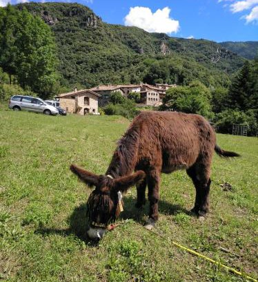 Beget Ski Chalet | Mas La Cabanya Beget Xalet de muntanya