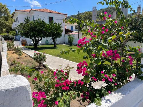 Agios Konstantinos House | Matina's house