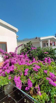 Burtaisi Apartment | Mavi