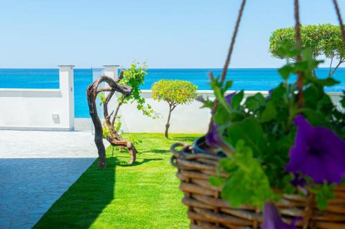 Cetraro Bed & Breakfast | Mbaccimari B&B