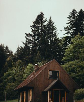 Baligrod House | Mech i brzoza