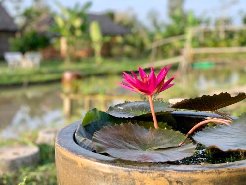 Phong Dien House | Mekong Cozy Travel Breakfast TwoBoatTours Included for 2nights