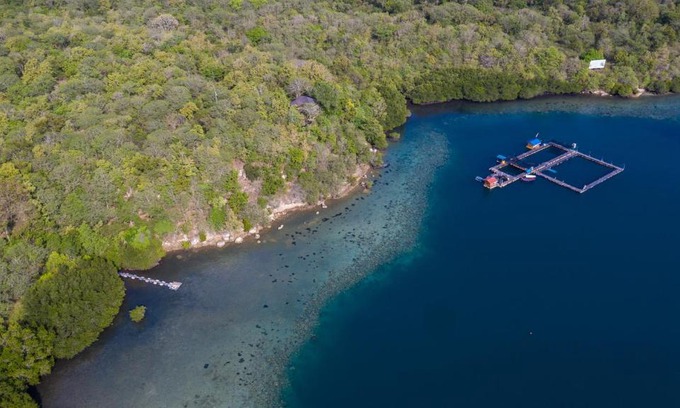 Pejarakan House | Menjangan Ecolodge - CHSE Certified