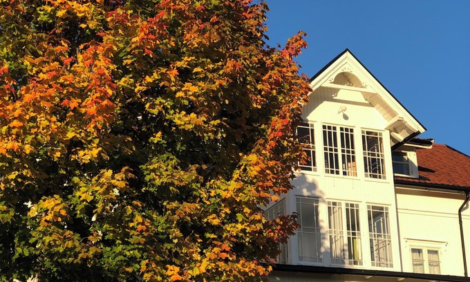 Ringsaker House | Mesnabakken pensjonat