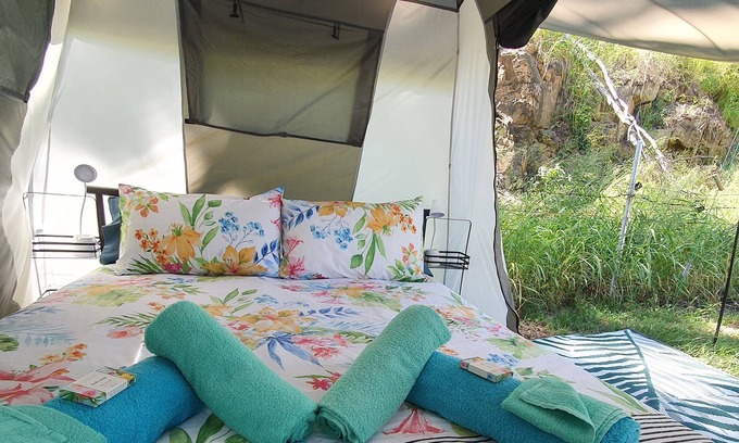 Mount Morgan Bed & Breakfast | Meyenburg Luxury Tent with shared bathroom/kitchen/lounge