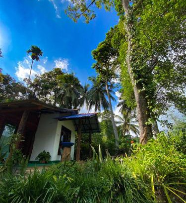Ella Bed & Breakfast | Mid Clime Ella