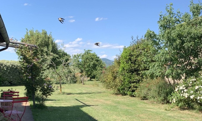 Orvieto Apartment | Milva's Nest Botto