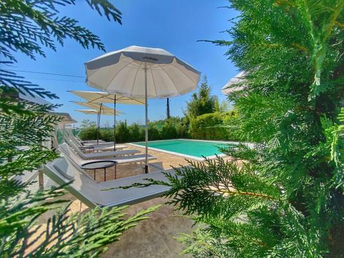Colà Di Lazise Bed & Breakfast | Mincio Relais