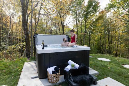 Argenteuil Regional County Municipality Ski Chalet | Mini chalet Ecohaven - SPA