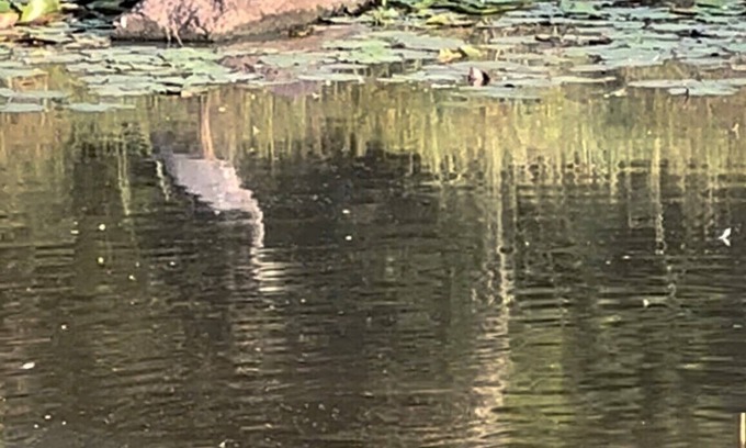 Denham Springs House | Minutes from the interstate, The Barn is tucked away from life's hectic pace!