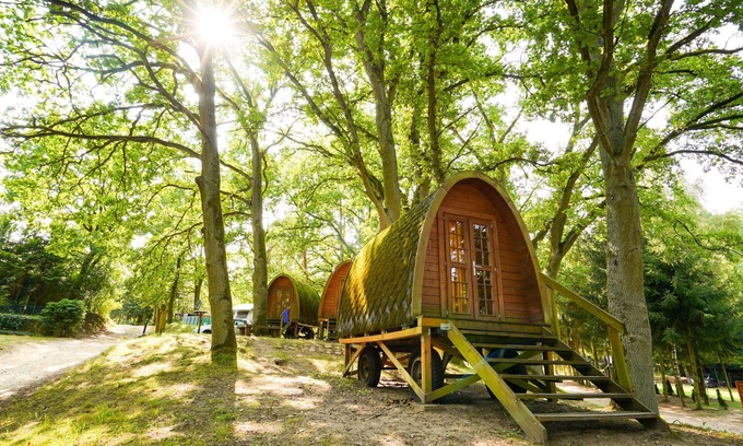 Lohmen Apartment | Miscellaneous for 2 guests with 10m² in Lohmen (271196)