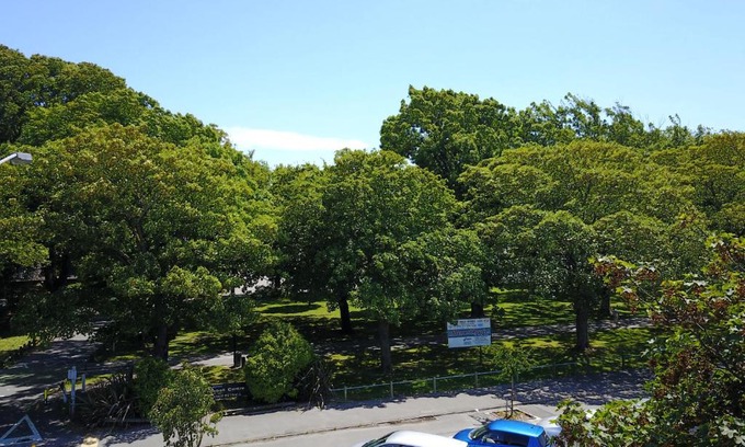 Christchurch City Centre Apartment | Modern 1 Bedroom Apartment across from Hagley Park