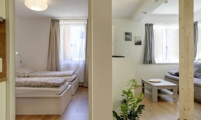 Muhlbachl Apartment | Modern Apartment "Habicht" with Wi-Fi, Garden and Terrace