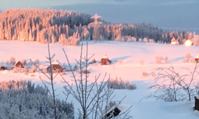 Breitnau Apartment | Modern chalets in the Black Forest incl. Hochschwarzwald Card