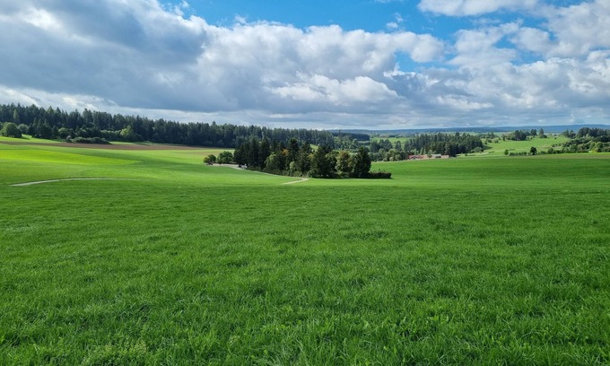 Loffingen Condo | Modern Eingerichtete 3-zi.-ferienwohnung zu Vermieten