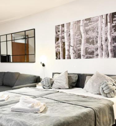 Karlsruhe City Centre Apartment | modern living in Karlsruhe - frieden apartments