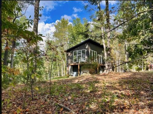 Nimitz Apartment | Modern Nimitz Cabin on 19 Acres with Fireplace and WiFi