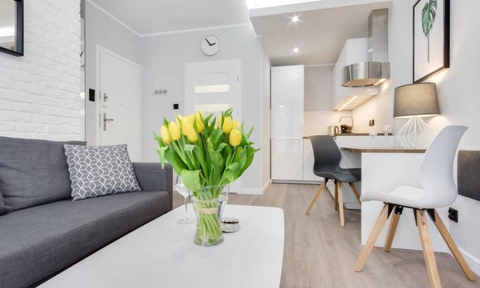 Old Town Apartment | Modern Studio Apartment