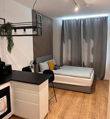 Karlsruhe City Centre Apartment | Modernes Apartment Karlsruhe