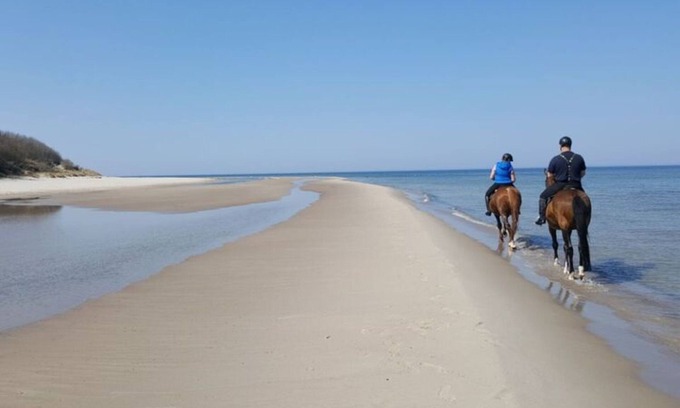 Wiek House | Modernes Ferienhaus mit Sauna in Wiek am Meer
