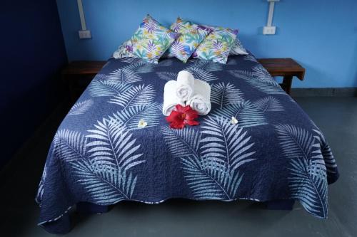 Hanga Roa Apartment | Moehiva ocean