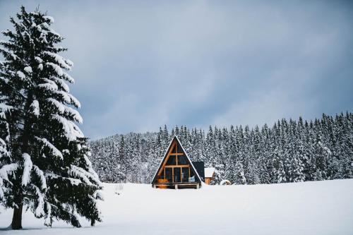 Campulung Moldovenesc Ski Chalet | Moldav-A Frame