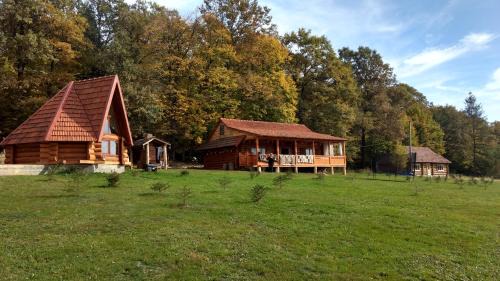 Vyzhnytsya House | Molfar House