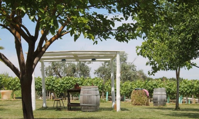 Vimieiro Bed & Breakfast | Monte das Aranhas Wine Luxury