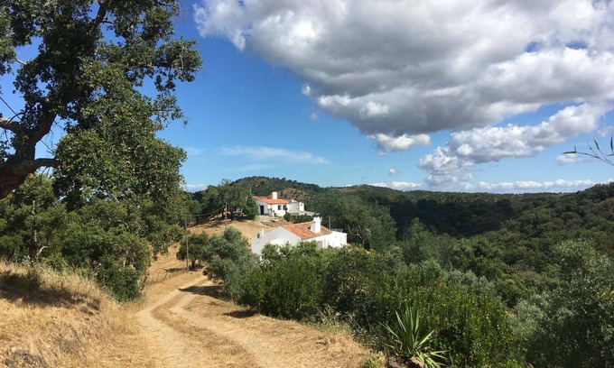 Sao Francisco da Serra House | Monte São Francisco - cosy&modern house in Melides area close to the ocean.
