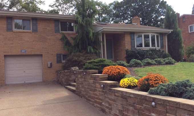 Green Tree House | Monthly Bungalow In Green Tree