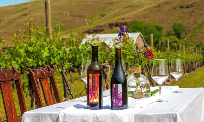 Milton-Freewater House | Moonrise Suite in a Vineyard + Winery!