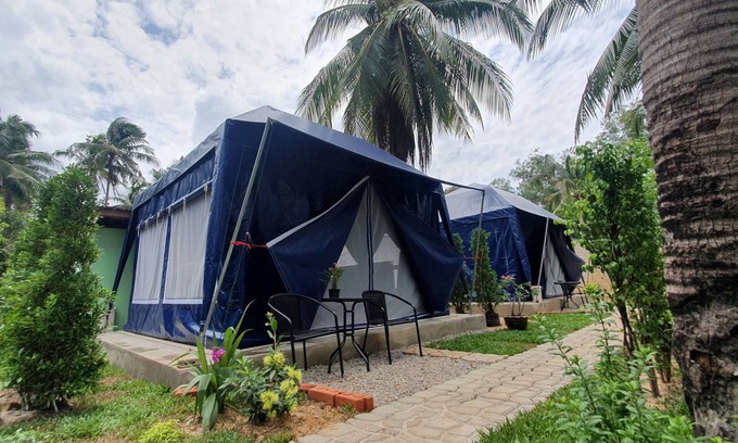 Chumphon Hotel | Moonshine Resort Chumphon