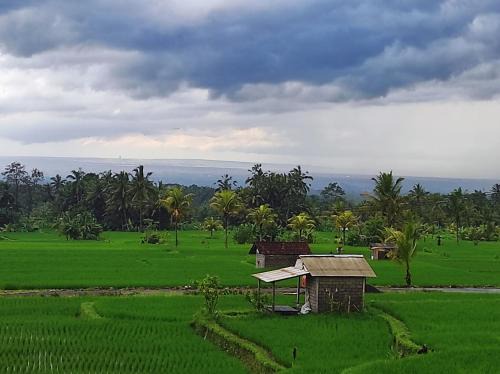 Tampaksiring Bed & Breakfast | Moriyya vila