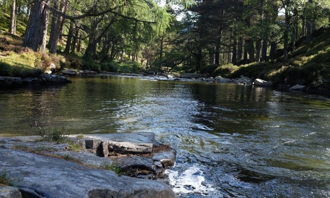 Braemar Cottage | Morrone Cottage - Beautiful mountain cottage, large garden and wonderful views.