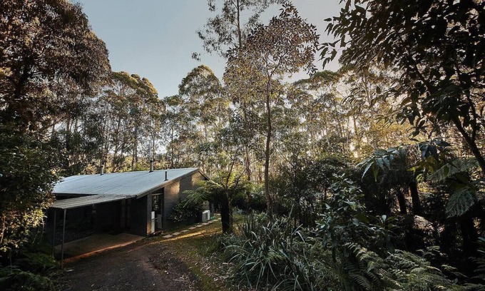 Mount Toolebewong House | Mountain get-away, nestled in the majestic Mount Toolebewong forest