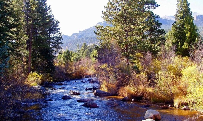 Allenspark Cabin | Mountain Masterpiece - Beautiful Cabin On 2.2 Acres At Wildbasin 3 Bedroom Cabin